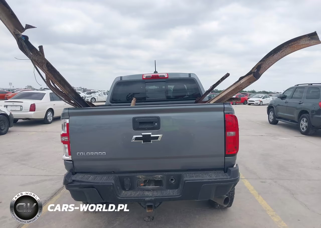 2019 Chevrolet Colorado Zr2 VIN:1GCPTEE1XK1156645 - 16