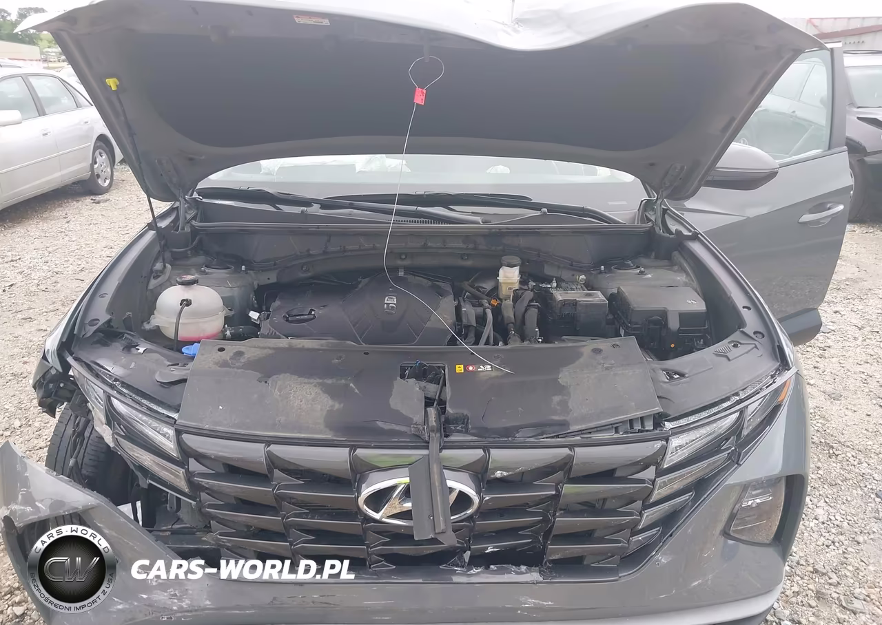 2024 Hyundai Tucson Sel VIN:5NMJF3DE1RH374253 - 10