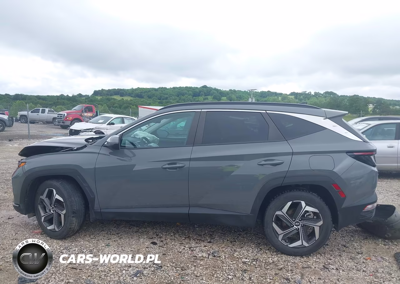 2024 Hyundai Tucson Sel VIN:5NMJF3DE1RH374253 - 15