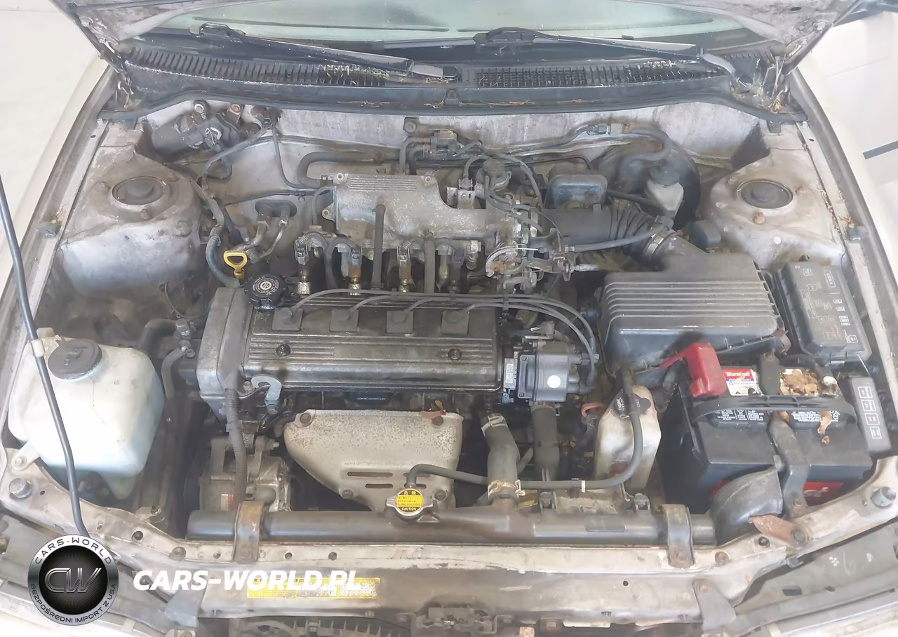 1995 Toyota Corolla Le-Dx VIN:2T1AE09B8SC109440 - 10
