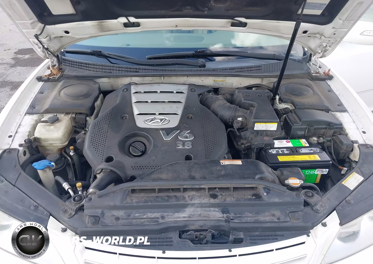 2007 Hyundai Azera Limited-Se VIN:KMHFC46F27A228263 - 10