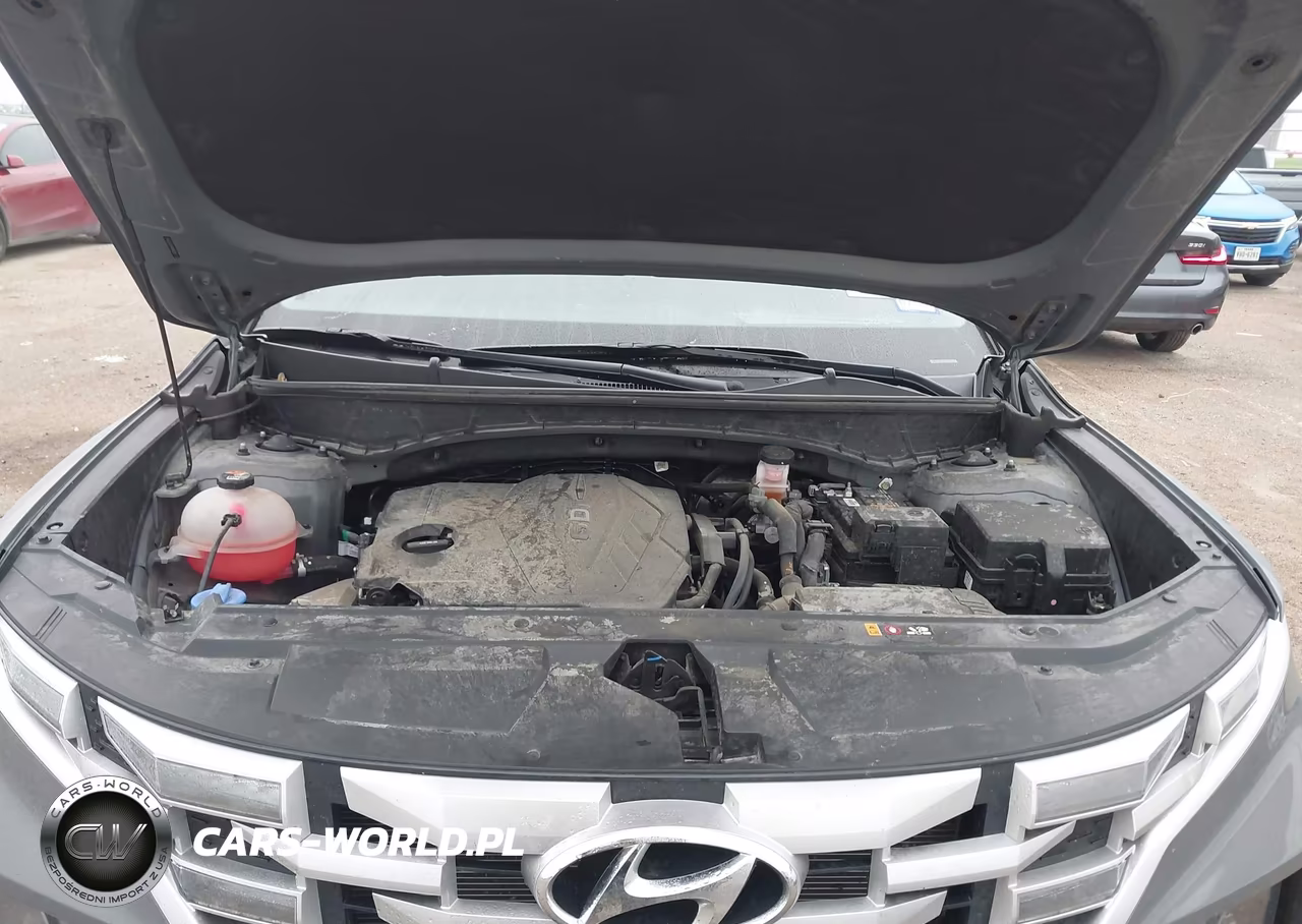 2024 Hyundai Santa Cruz Sel VIN:5NTJCDAE9RH082826 - 10