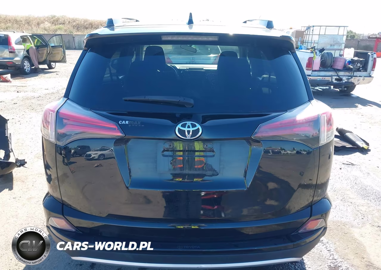2016 Toyota Rav4 Xle VIN:2T3RFREVXGW459847 - 16