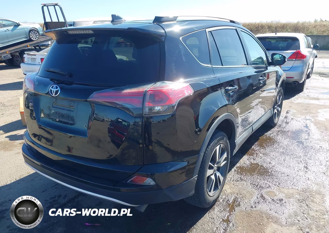 2016 Toyota Rav4 Xle VIN:2T3RFREVXGW459847 - 4