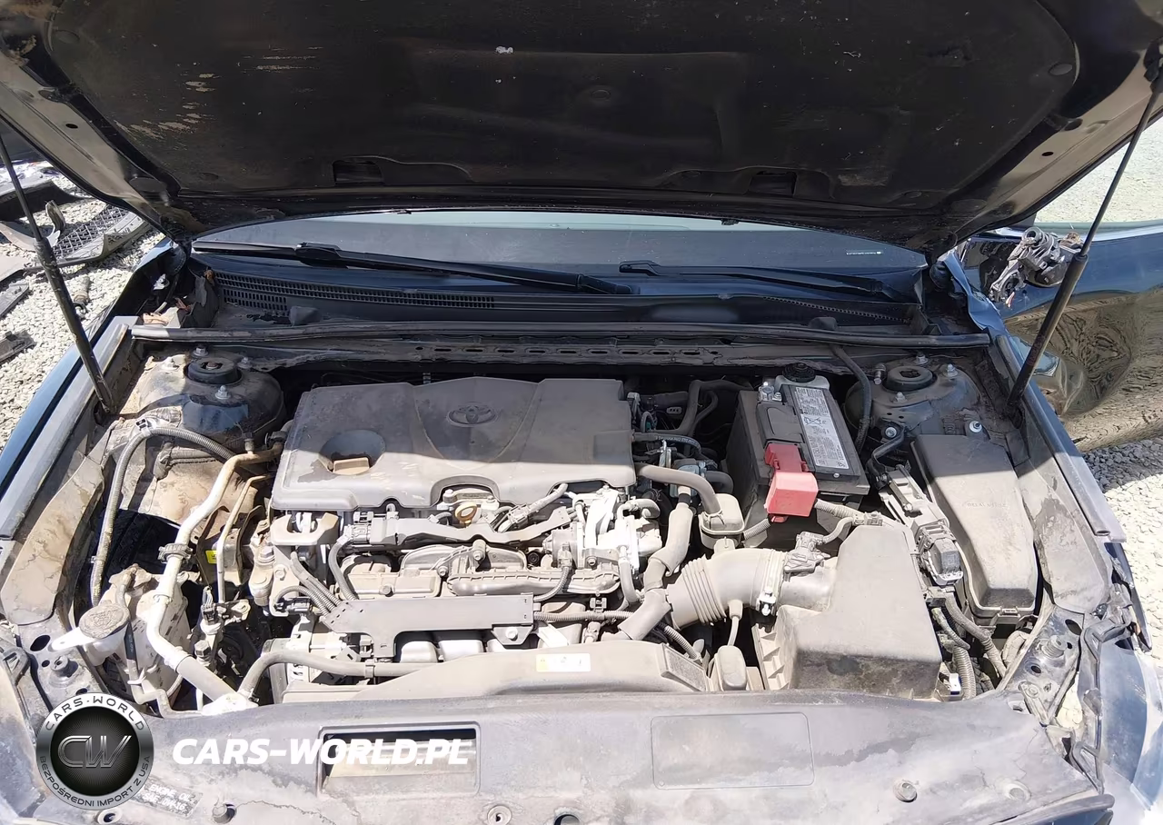 2020 Toyota Camry Se VIN:4T1G11AK5LU321834 - 10