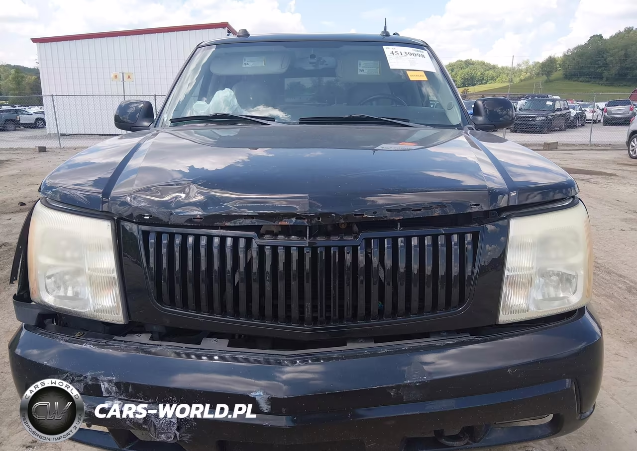 2004 Cadillac Escalade Esv Platinum Edition VIN:3GYFK66N94G286002 - 12