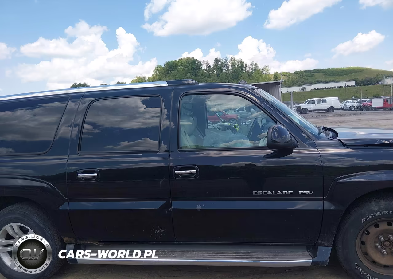 2004 Cadillac Escalade Esv Platinum Edition VIN:3GYFK66N94G286002 - 13