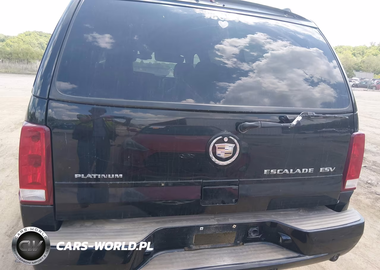 2004 Cadillac Escalade Esv Platinum Edition VIN:3GYFK66N94G286002 - 16