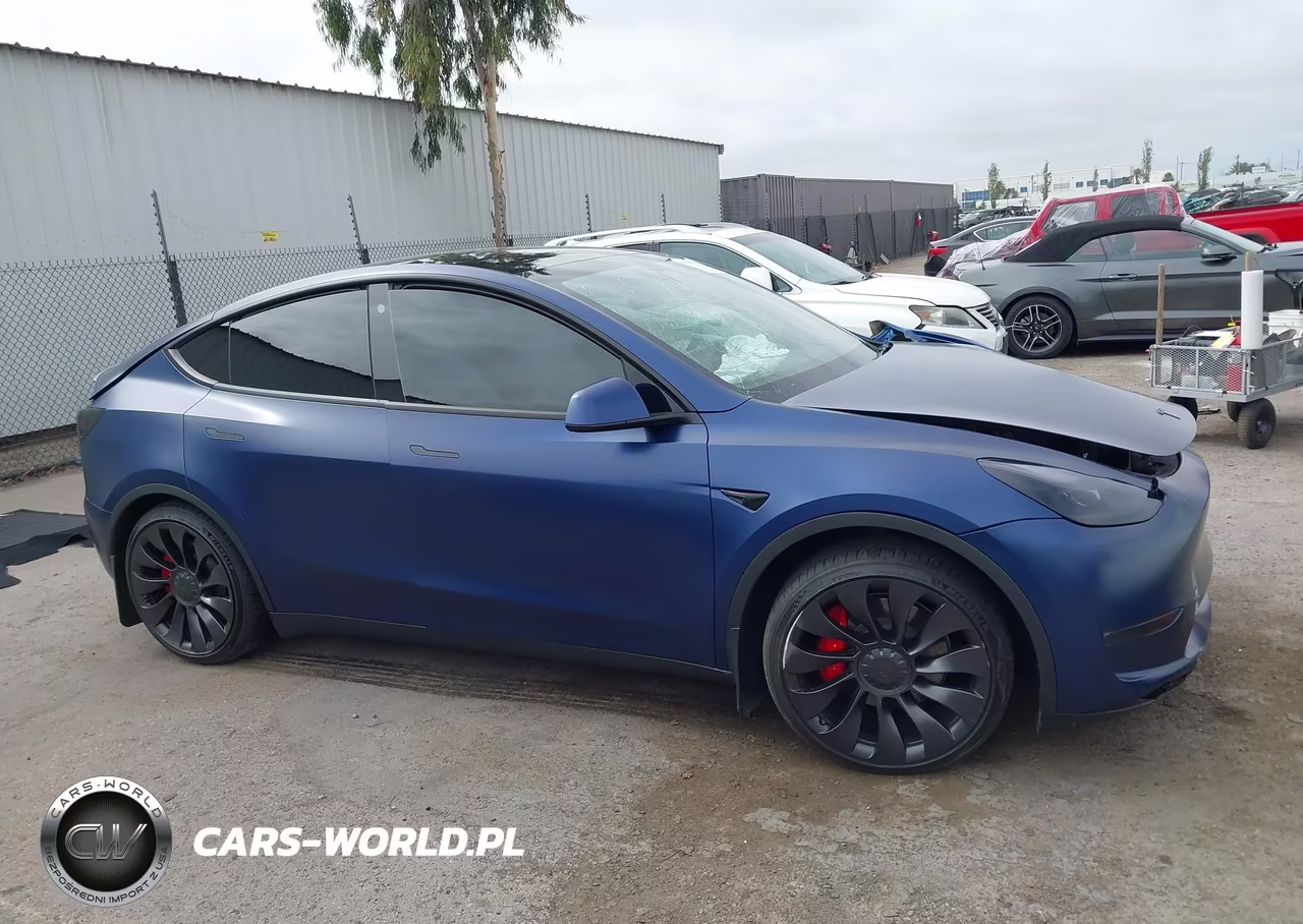 2023 Tesla Model Y Performance Dual Motor All-Wheel Drive VIN:7SAYGDEF5PF621302 - 12