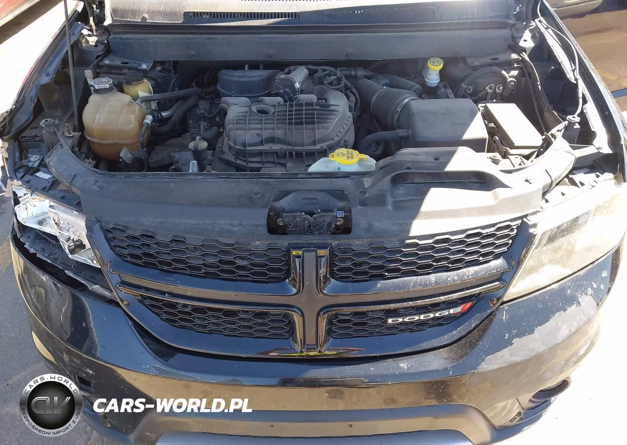 2016 Dodge Journey R-T VIN:3C4PDDEG7GT165069 - 10