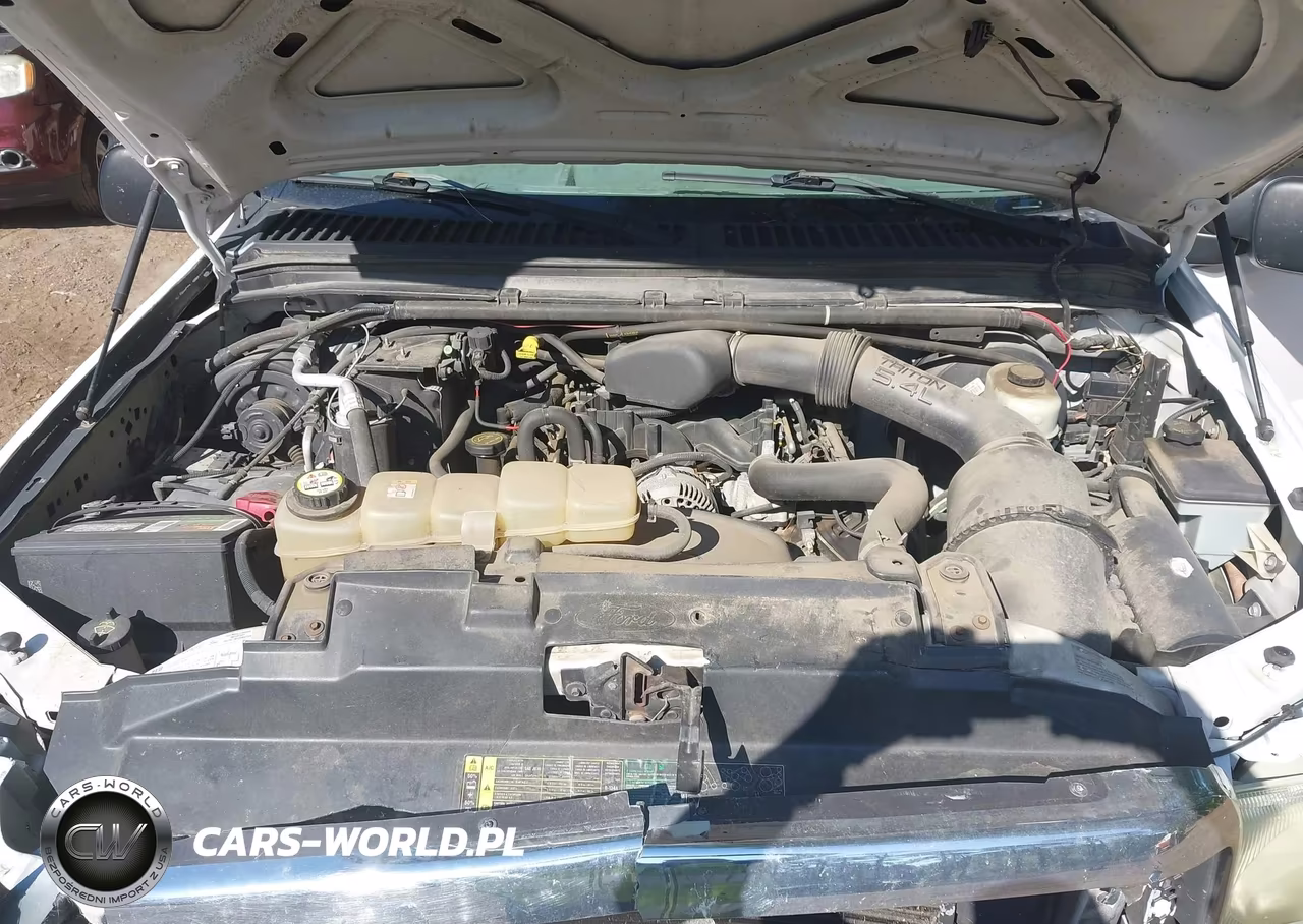 2004 Ford F-250 Lariat-Xl-Xlt VIN:1FTNX20L44EC69070 - 10