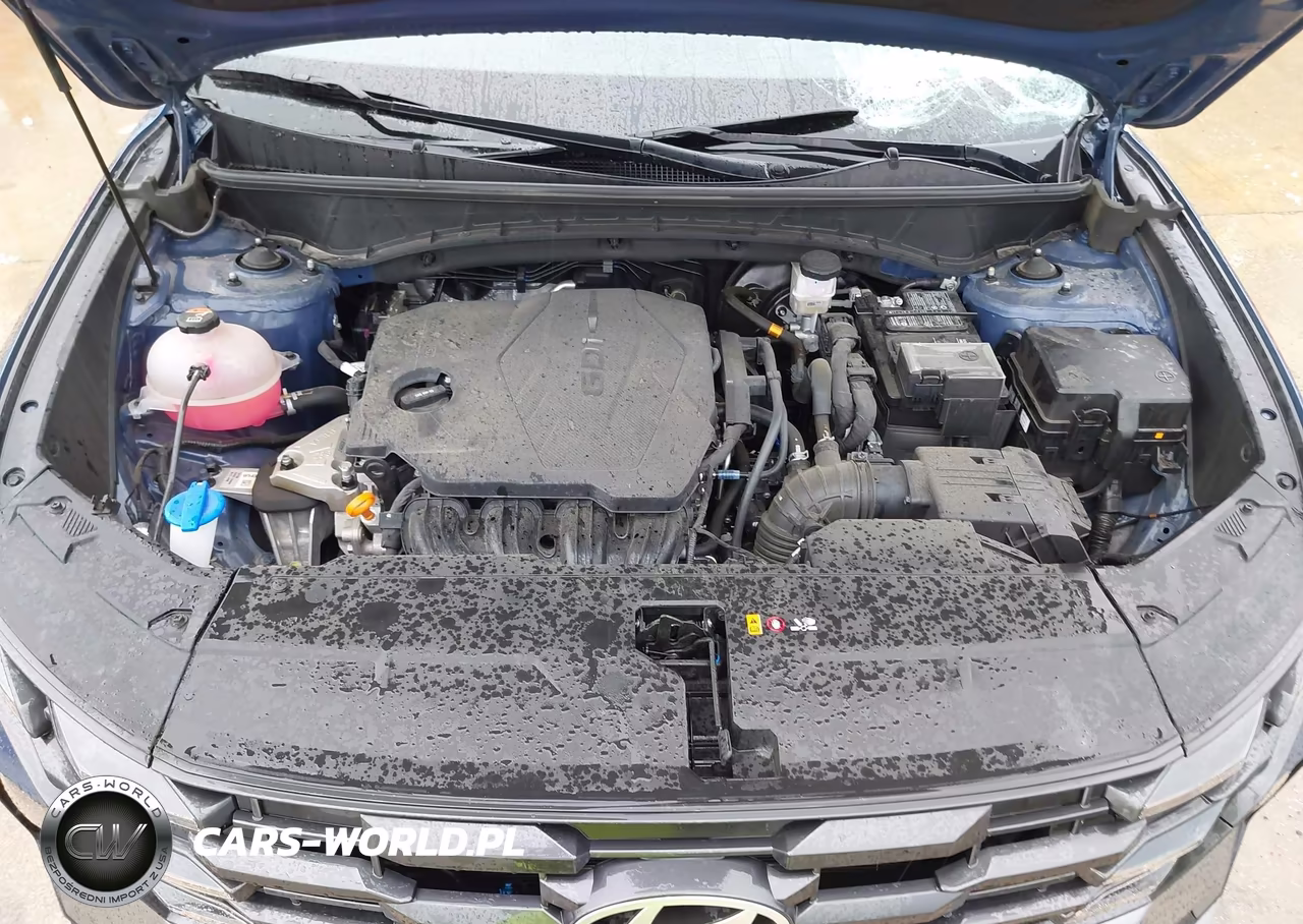 2025 Hyundai Tucson Sel Convenience VIN:5NMJC3DE7SH454543 - 10