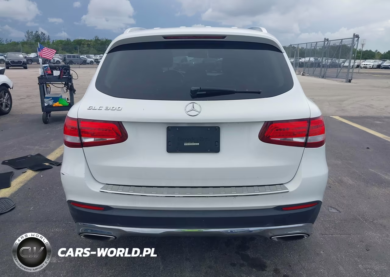 2017 Mercedes-Benz Glc 300 VIN:WDC0G4JB2HF117620 - 16