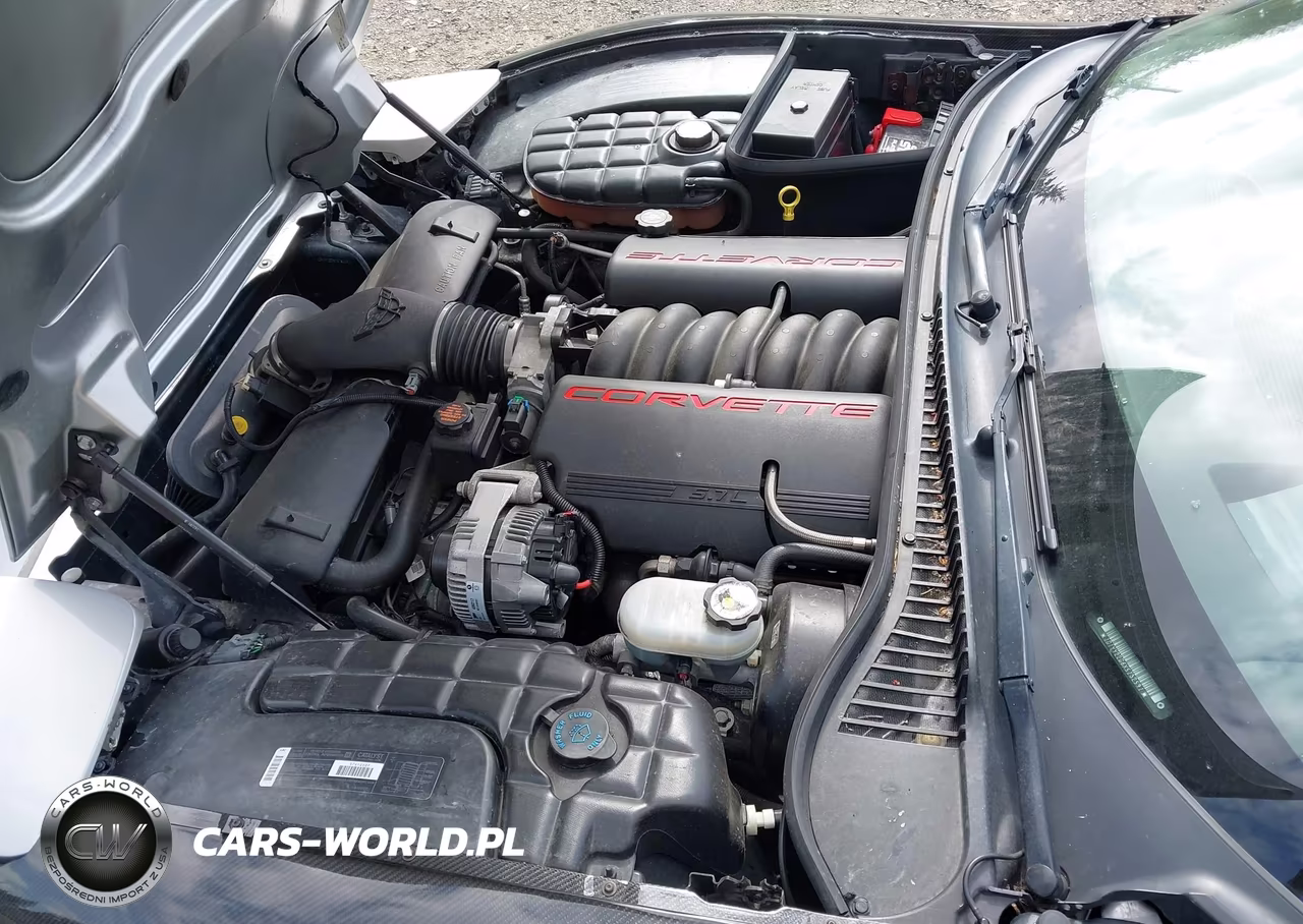 1999 Chevrolet Corvette VIN:1G1YY22G6X5132591 - 10