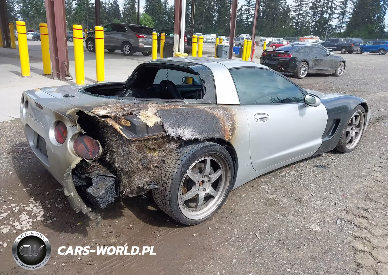 1999 Chevrolet Corvette VIN:1G1YY22G6X5132591 - 4