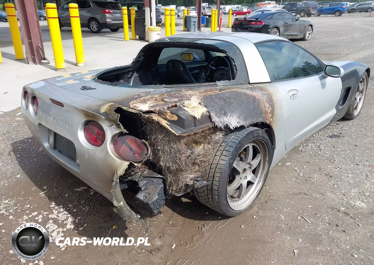 1999 Chevrolet Corvette VIN:1G1YY22G6X5132591 - 6