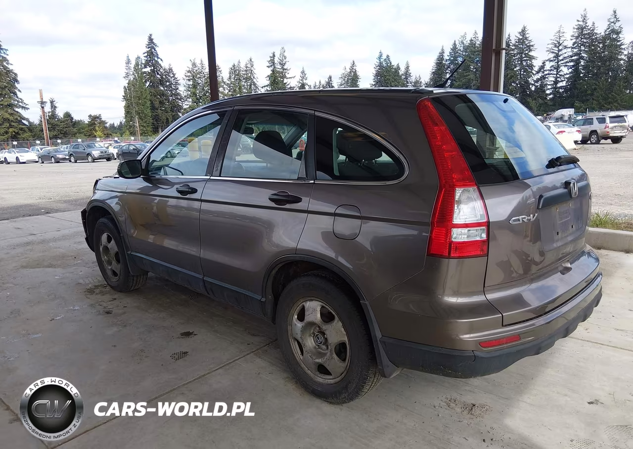 2010 Honda Cr-V Lx VIN:5J6RE4H37AL098551 - 3