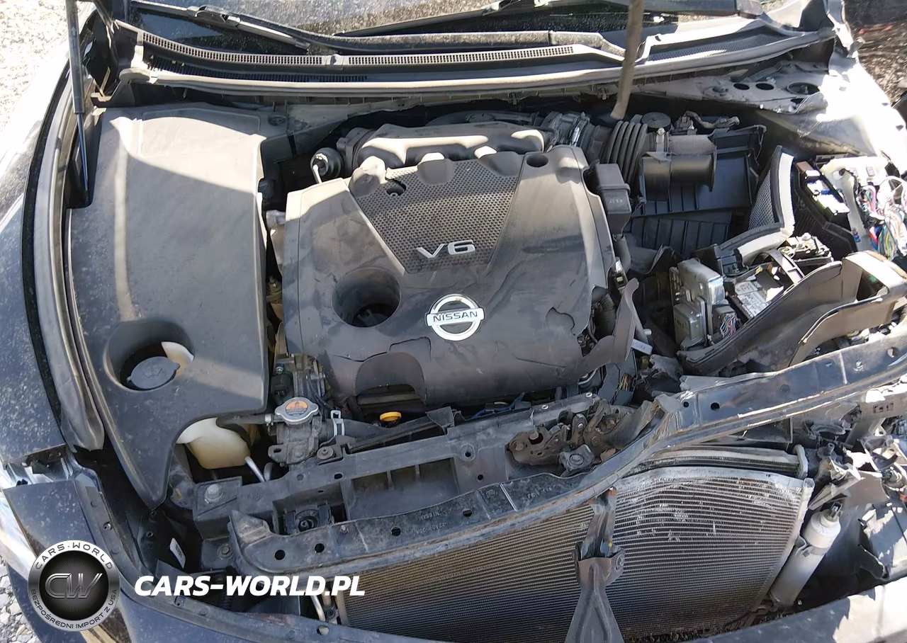 2010 Nissan Maxima 3.5 Sv VIN:1N4AA5AP2AC859316 - 10
