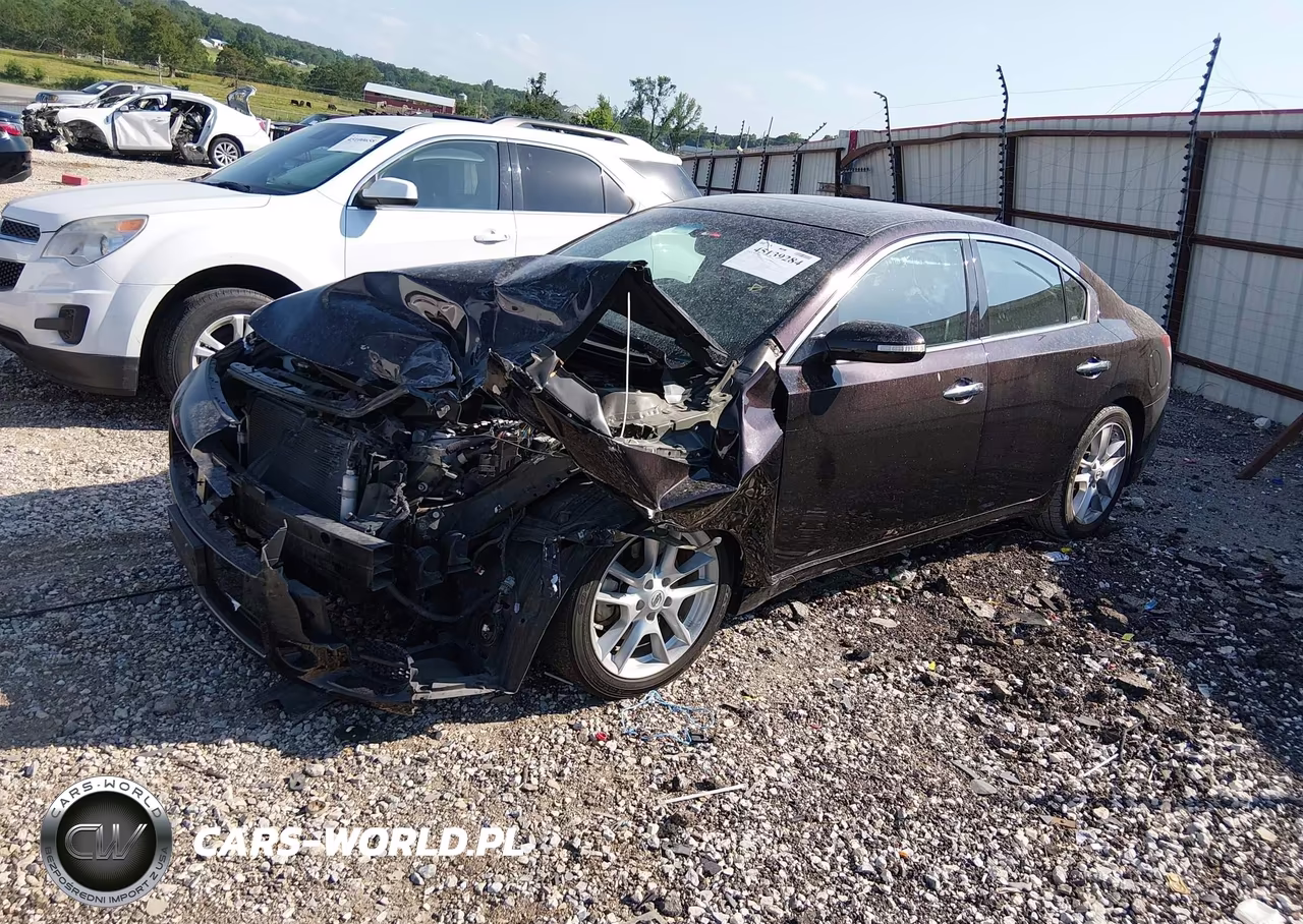 2010 Nissan Maxima 3.5 Sv VIN:1N4AA5AP2AC859316 - 2