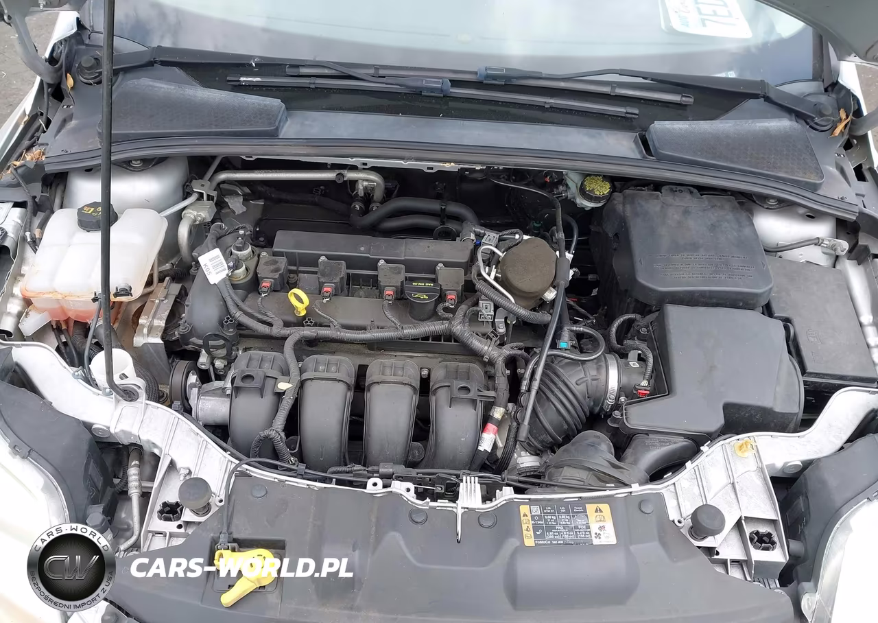 2014 Ford Focus Se VIN:1FADP3K21EL285123 - 10