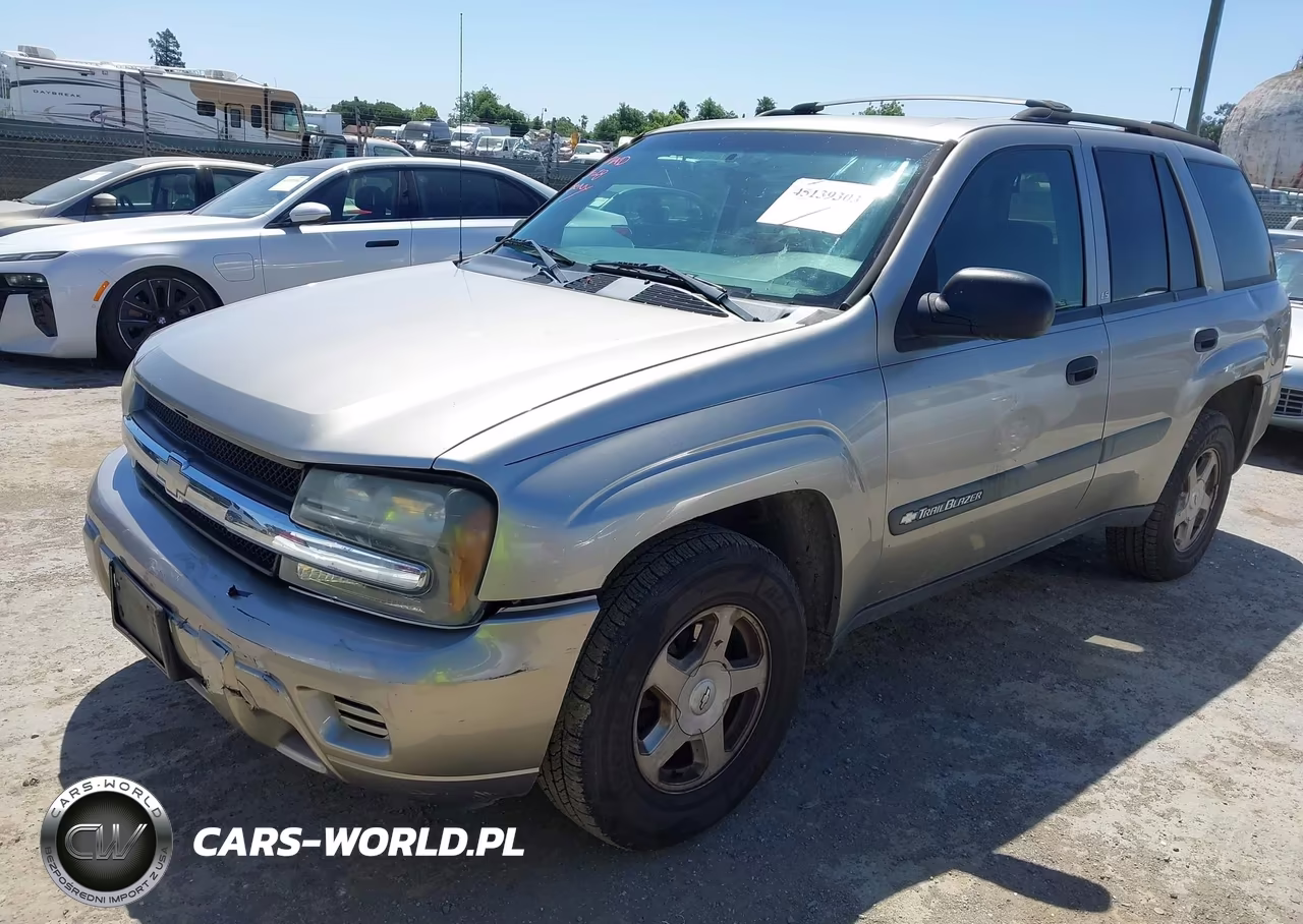 2003 Chevrolet Trailblazer Ls VIN:1GNDT13S132116738 - 2