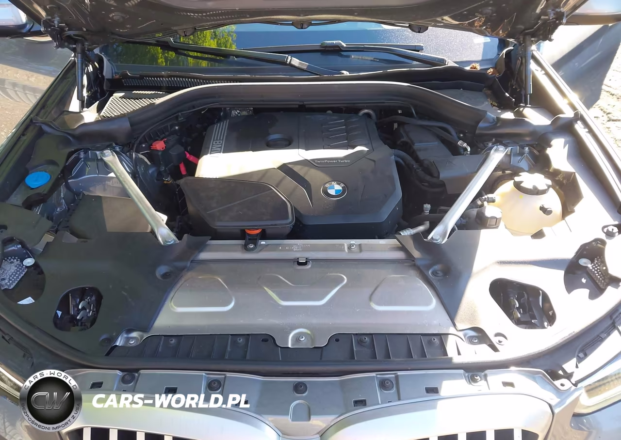 2023 BMW X3 Sdrive30I VIN:5UX43DP05P9S24486 - 10