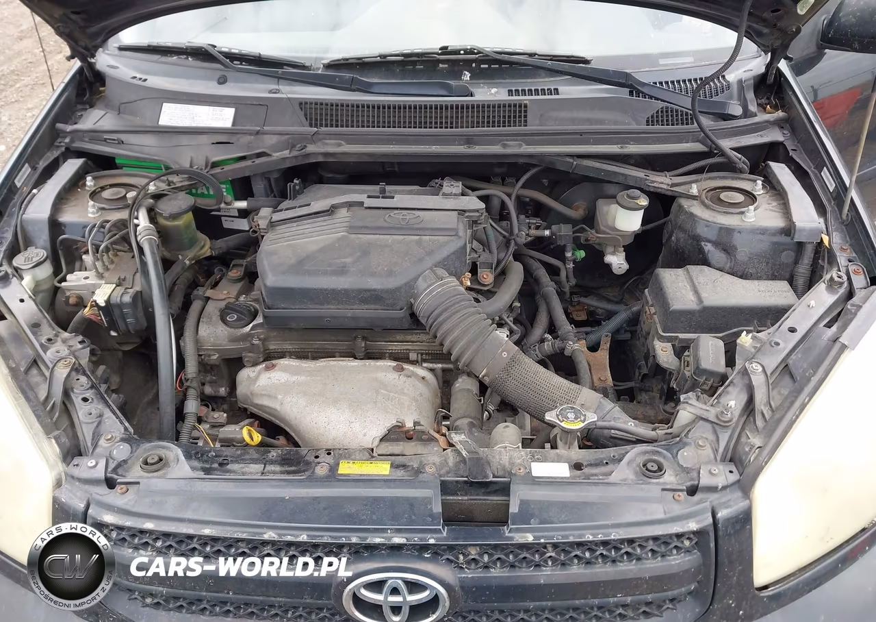 2004 Toyota Rav4 VIN:JTEGD20V640023052 - 10