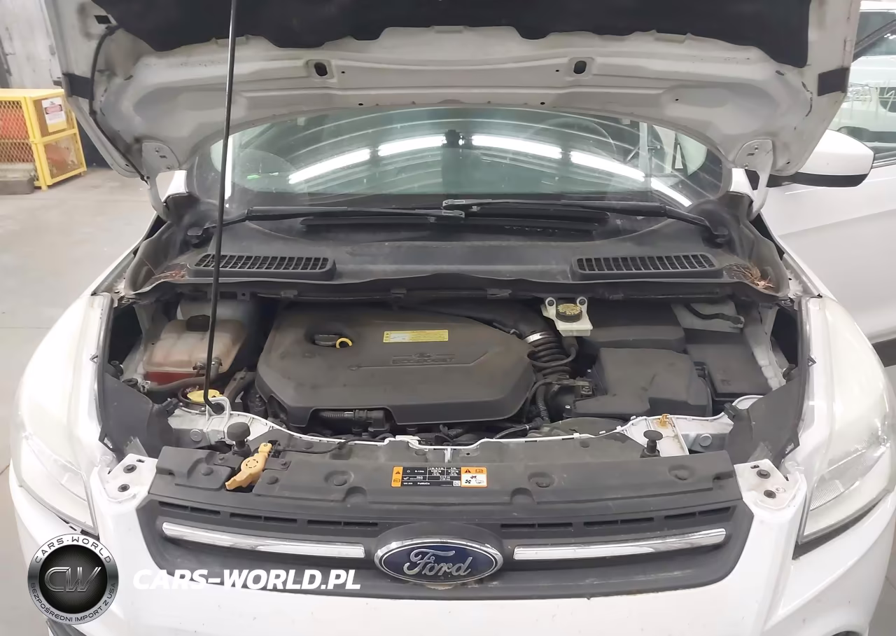 2013 Ford Escape Se VIN:1FMCU0GX5DUA04561 - 10