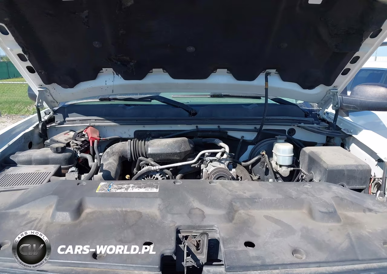 2010 Chevrolet Silverado 1500 Work Truck VIN:1GCSCPEX0AZ248177 - 10