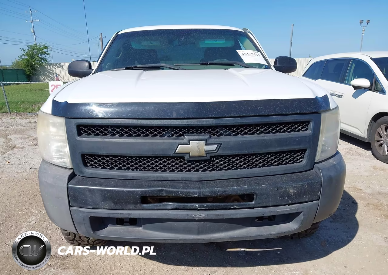 2010 Chevrolet Silverado 1500 Work Truck VIN:1GCSCPEX0AZ248177 - 13