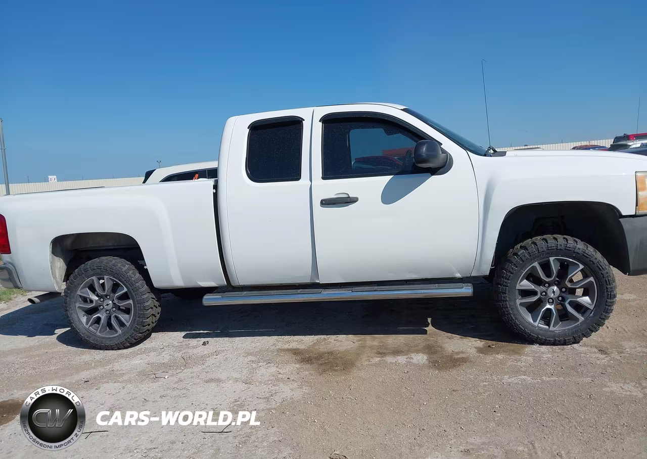 2010 Chevrolet Silverado 1500 Work Truck VIN:1GCSCPEX0AZ248177 - 14