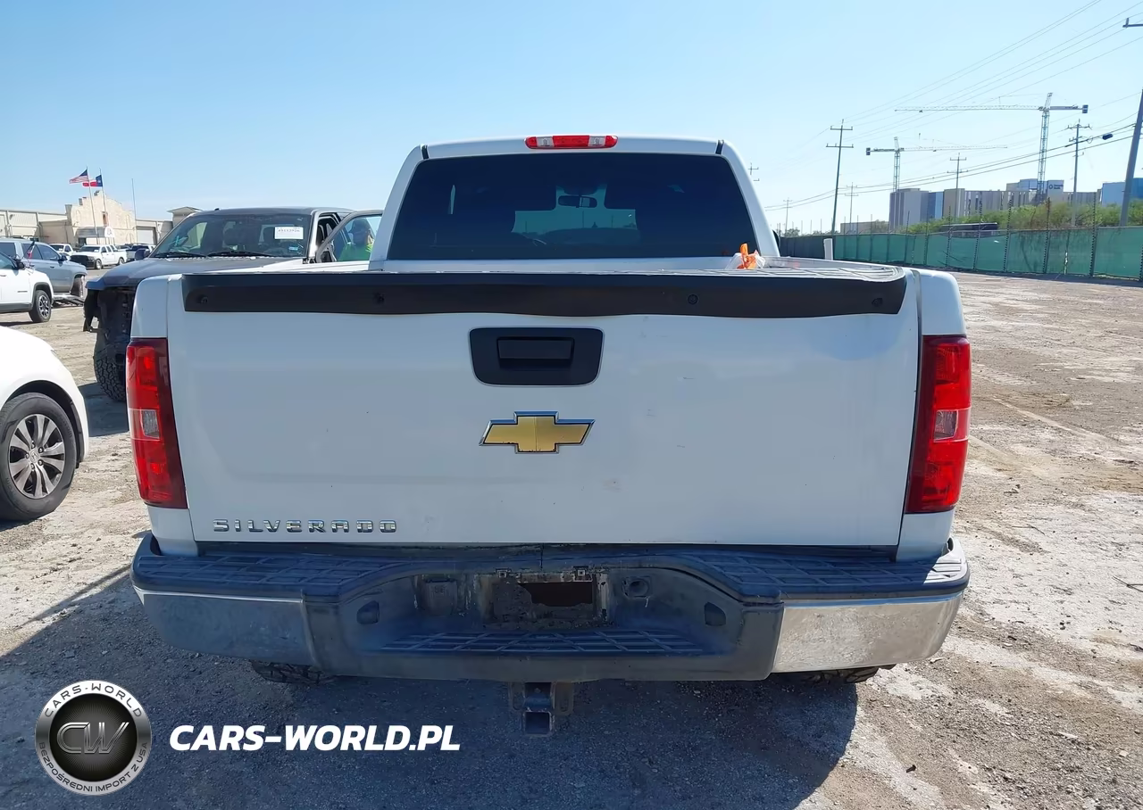 2010 Chevrolet Silverado 1500 Work Truck VIN:1GCSCPEX0AZ248177 - 17