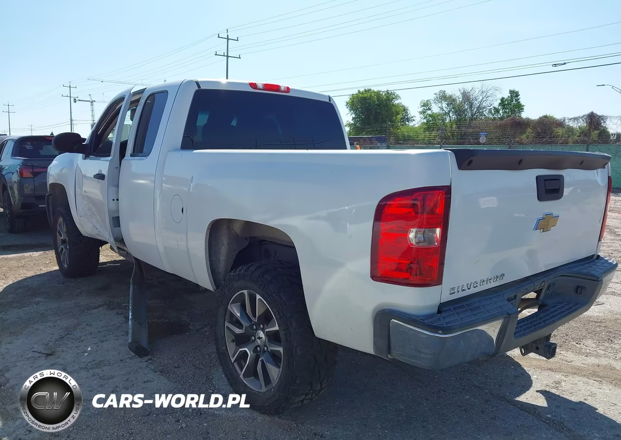 2010 Chevrolet Silverado 1500 Work Truck VIN:1GCSCPEX0AZ248177 - 3