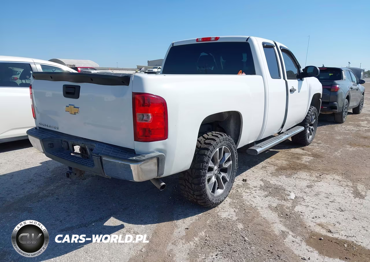 2010 Chevrolet Silverado 1500 Work Truck VIN:1GCSCPEX0AZ248177 - 4
