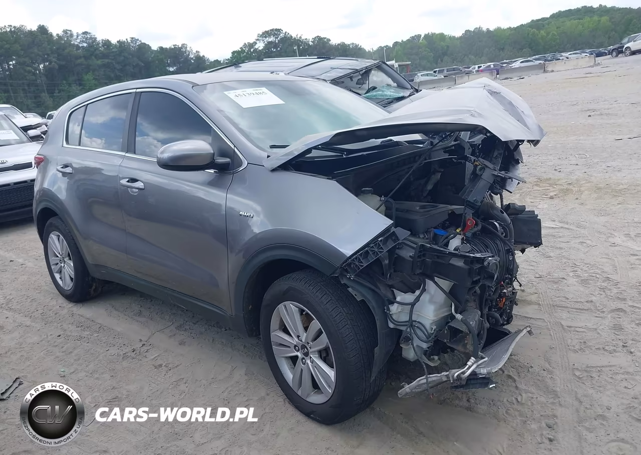 2017 Kia Sportage Lx VIN:KNDPMCAC8H7261375 - 13