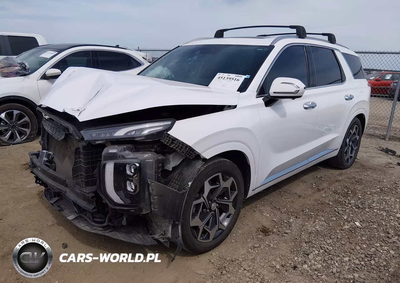 2021 Hyundai Palisade Calligraphy VIN:KM8R7DHE5MU195694 - 2