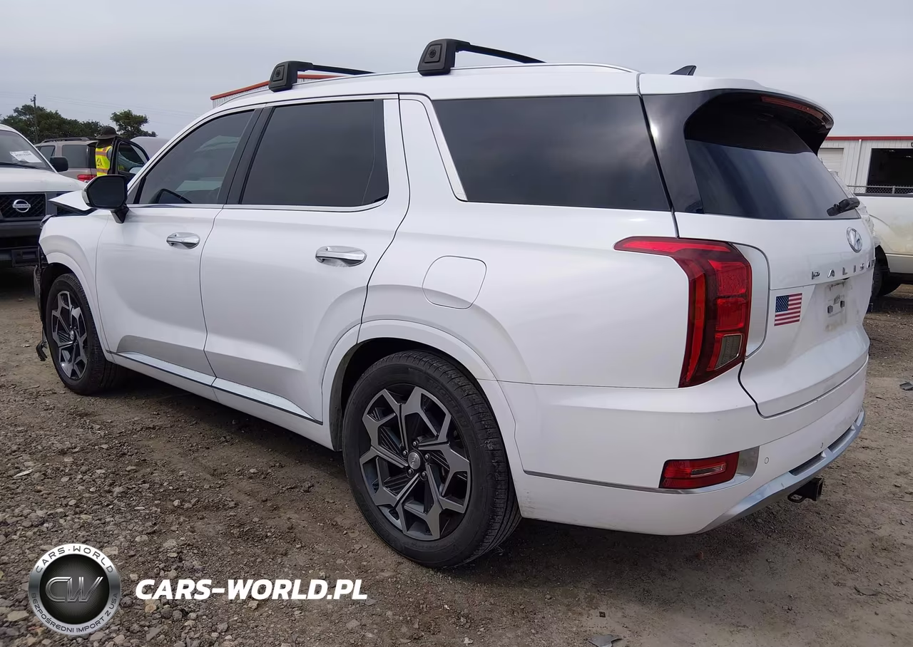 2021 Hyundai Palisade Calligraphy VIN:KM8R7DHE5MU195694 - 3