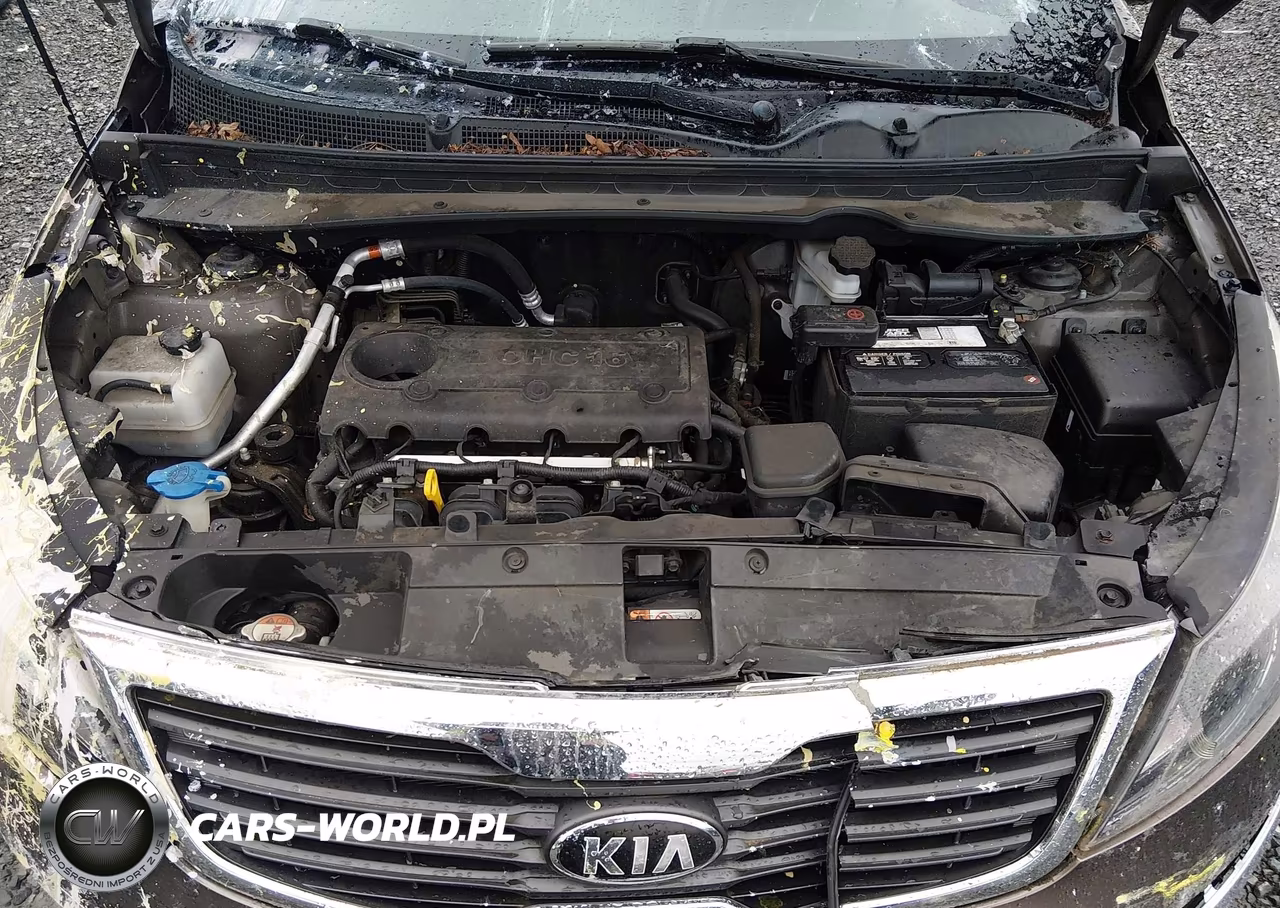 2013 Kia Sportage Ex VIN:KNDPCCA20D7433547 - 10
