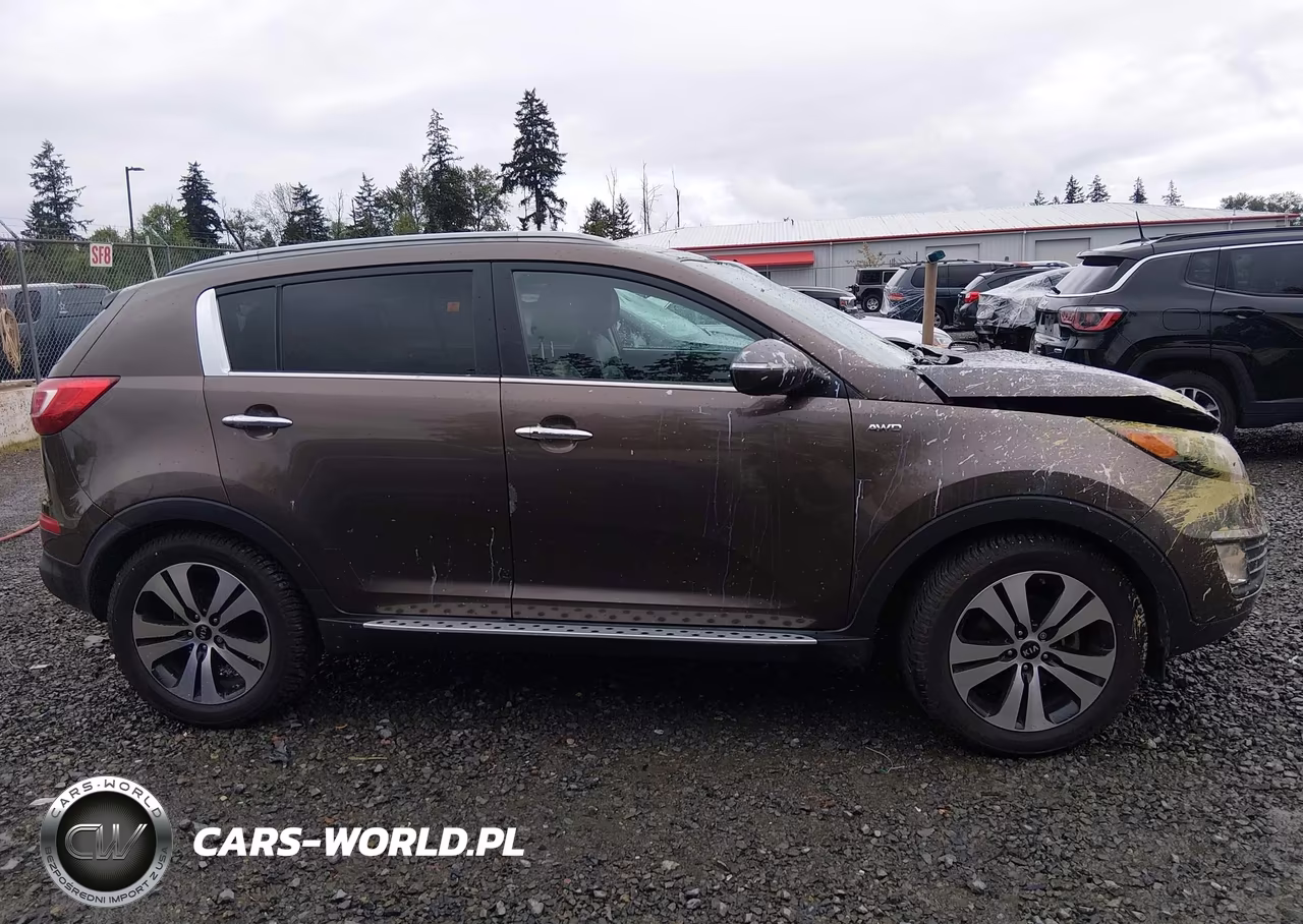 2013 Kia Sportage Ex VIN:KNDPCCA20D7433547 - 13