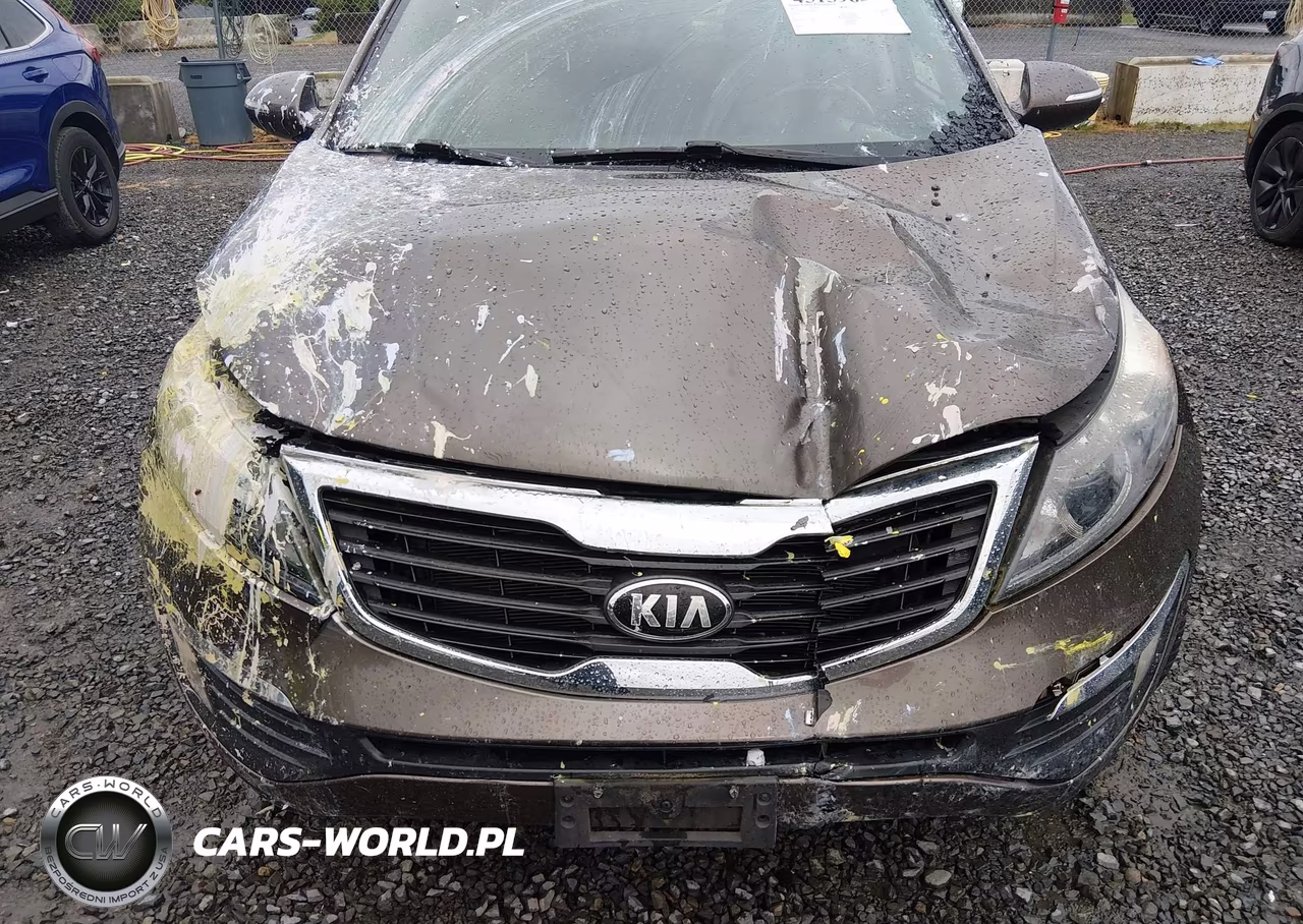 2013 Kia Sportage Ex VIN:KNDPCCA20D7433547 - 6