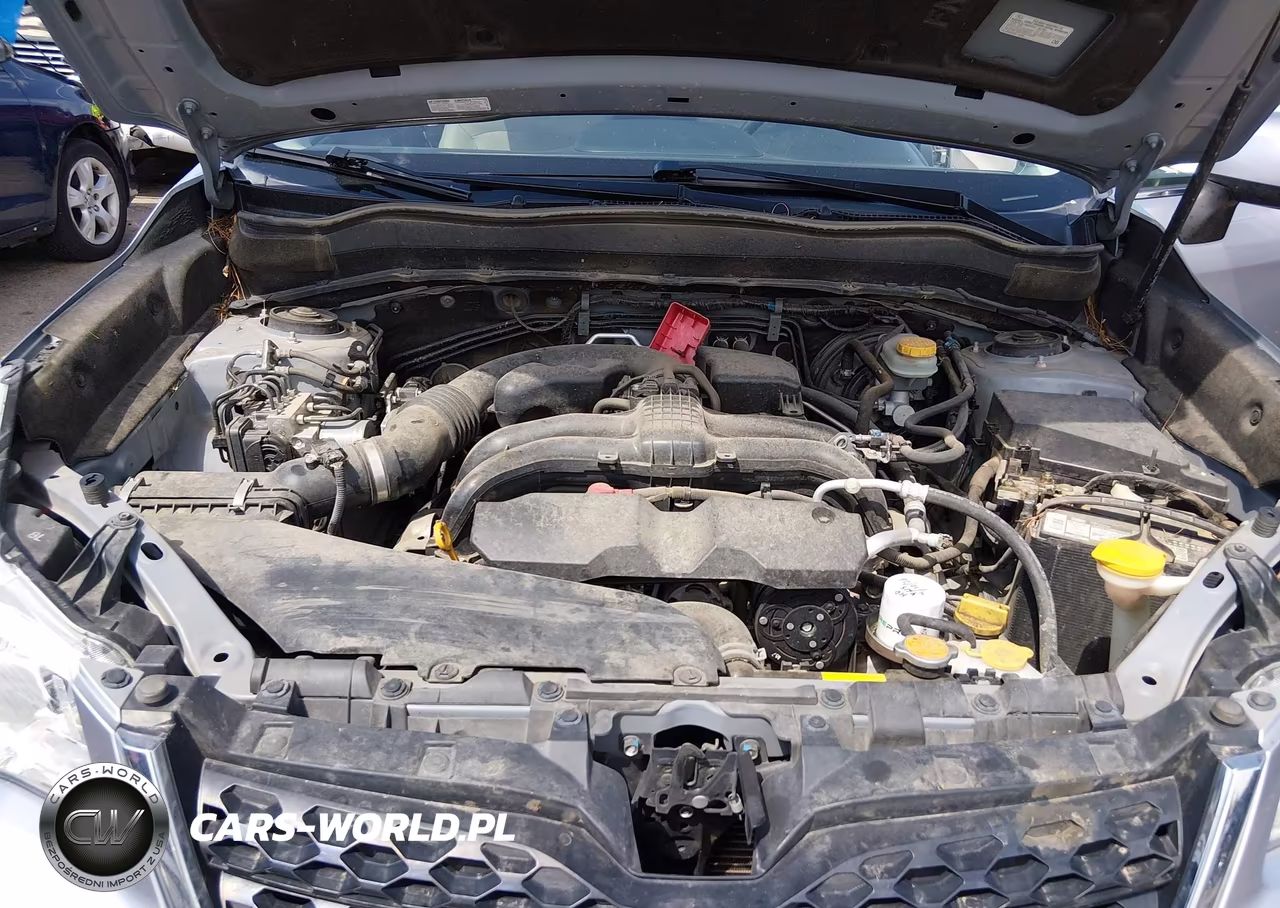 2015 Subaru Forester 2.5I Touring VIN:JF2SJAWC6FH441012 - 10