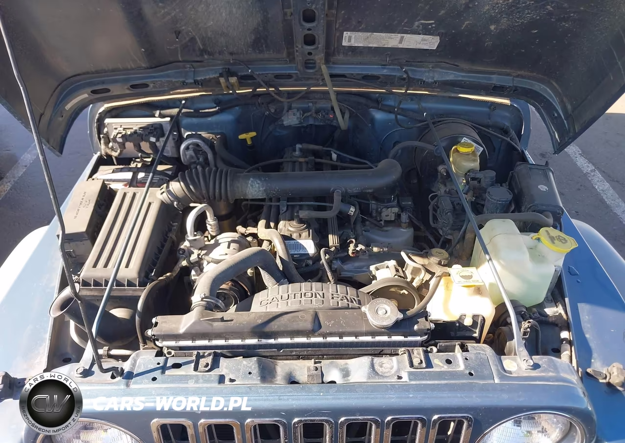1999 Jeep Wrangler Sport VIN:1J4FY19S2XP467347 - 10