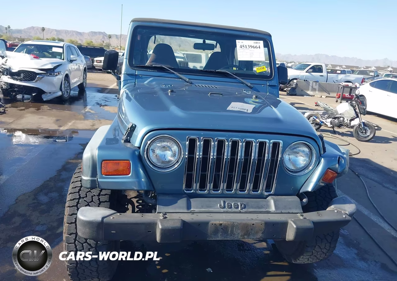 1999 Jeep Wrangler Sport VIN:1J4FY19S2XP467347 - 12