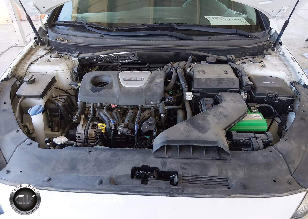 2019 Hyundai Sonata Eco VIN:5NPE24AA4KH802524 - 10