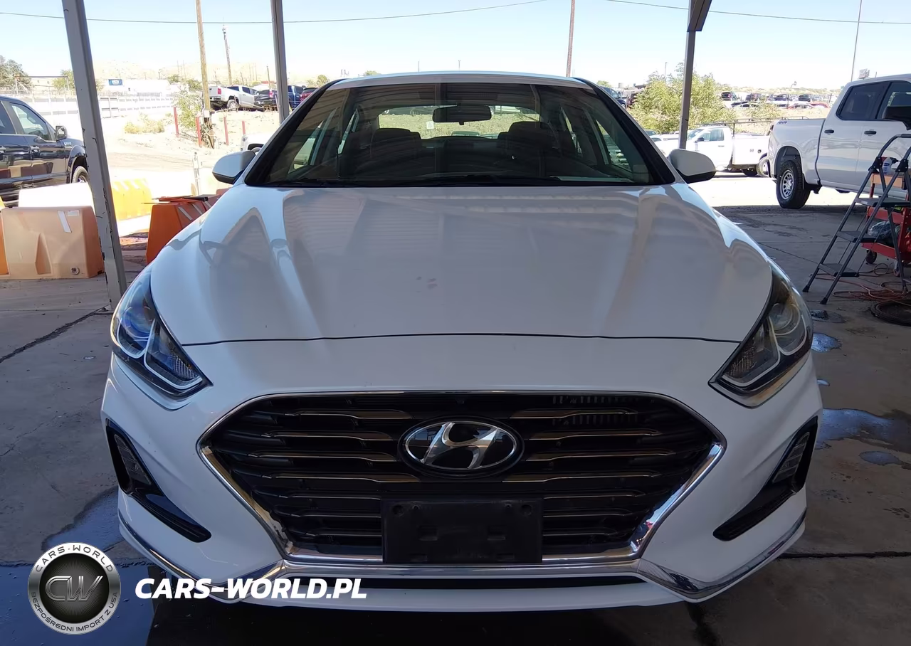 2019 Hyundai Sonata Eco VIN:5NPE24AA4KH802524 - 12