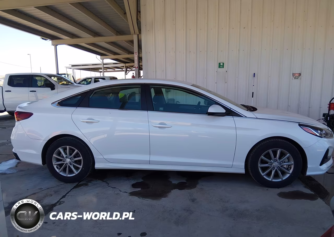 2019 Hyundai Sonata Eco VIN:5NPE24AA4KH802524 - 13