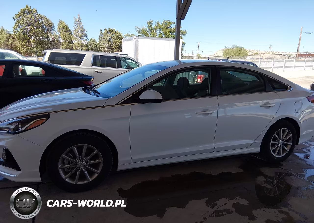 2019 Hyundai Sonata Eco VIN:5NPE24AA4KH802524 - 14