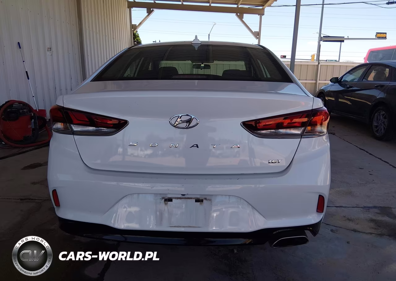 2019 Hyundai Sonata Eco VIN:5NPE24AA4KH802524 - 16