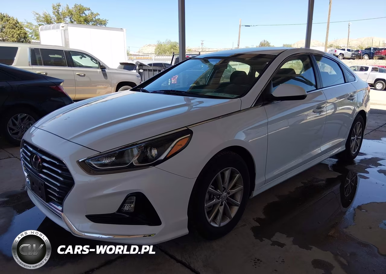 2019 Hyundai Sonata Eco VIN:5NPE24AA4KH802524 - 2