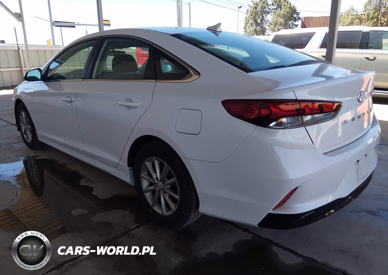 2019 Hyundai Sonata Eco VIN:5NPE24AA4KH802524 - 3